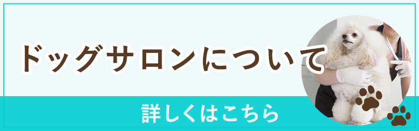 ドッグサロンについて
